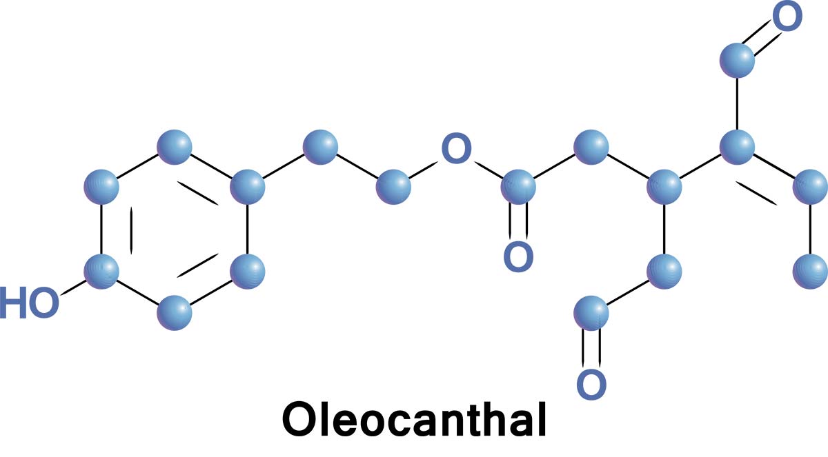 oleocanthal in olive oil