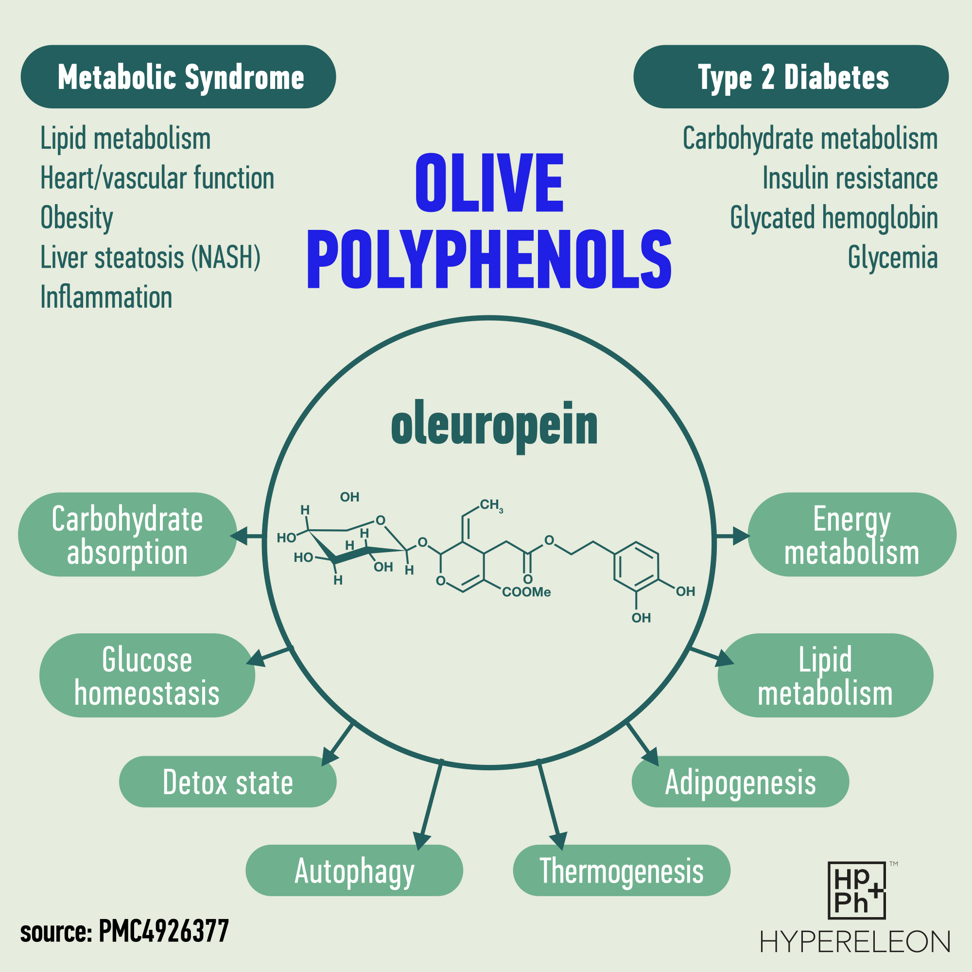 polyphenols benefits.jpg