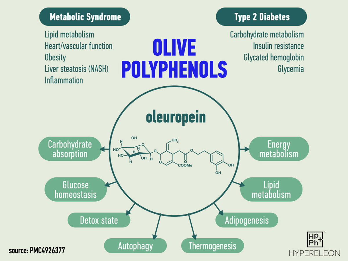 benefits-of-olive-oil-polyphenols-infographics