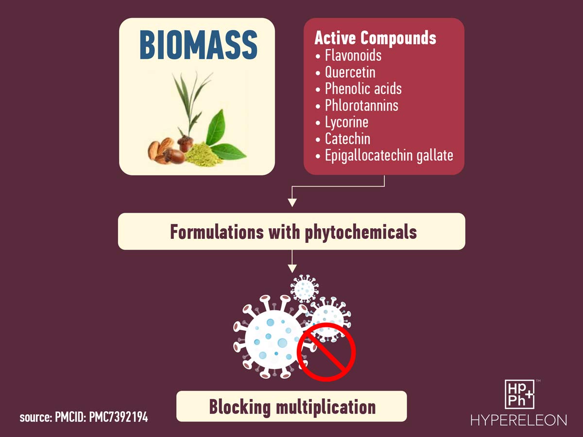 phytochemicals blocking virus multiplication