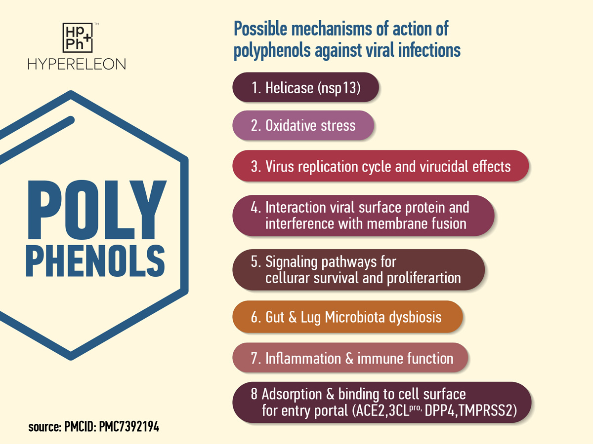 polyphenols against viral infections