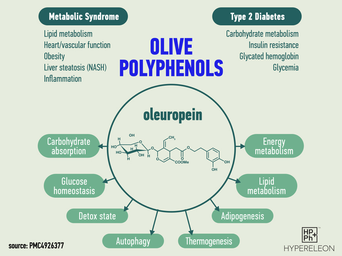 olive oil oleuropein for diabetes and metabolic syndrome