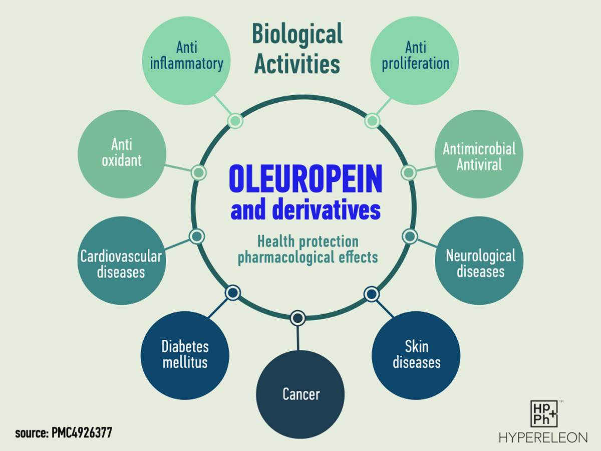 health protection effects of oleuropein