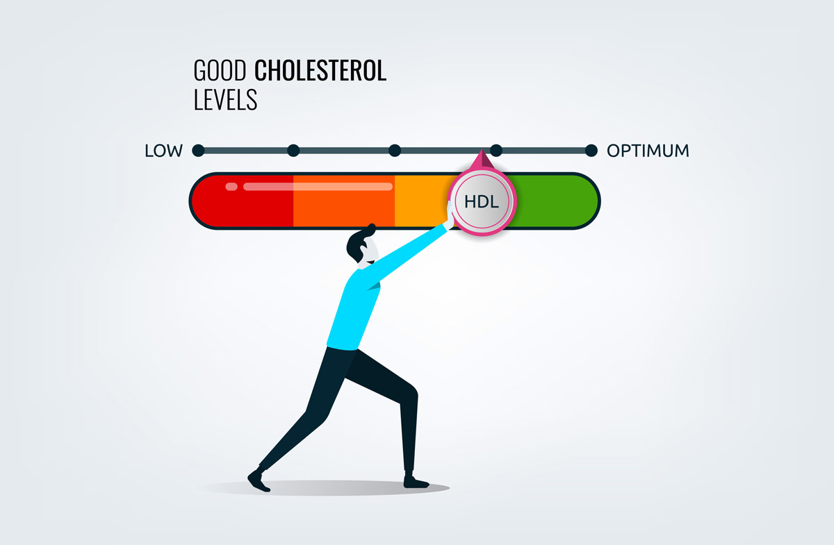 cholesterol and oleic acid